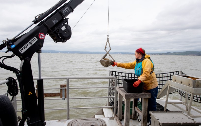 a woman standing on the back deck of a vessel with gloved hands moving a clamshell-type grabber full of mud to dump into a bucket on a table. The grabber is suspended above the table by a cable that is attached to a small crane installed on the side of the back deck.