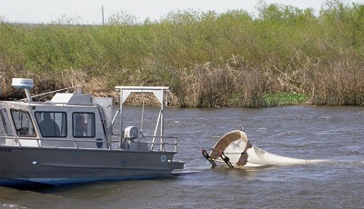 Image of a boat with net being pulled on board