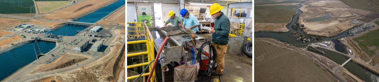 Left image is an aerial view of a canal with buildings and parking lots on either side and a baffle system and gates going across the canal. Center image is 3 people wearing hard hats inside a warehouse-looking building standing over a table measuring fish. Right image is an aerial view of a small peninsula and two islands with various buildings situated at the cross-section of two rivers. Sumberged louvers extend from the peninsula while a trash boom connects the peninsula to the other side of the river.