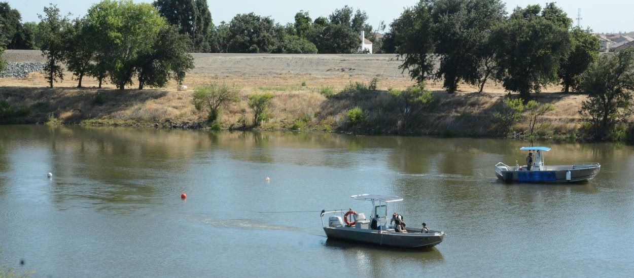 Two motorized boats with personnel aboard are motoring side by side up a river towing nets that are under the water with floats at the surface. A high levee wall with some vegetation along the water's edge and a road atop the levee is seen in the background.