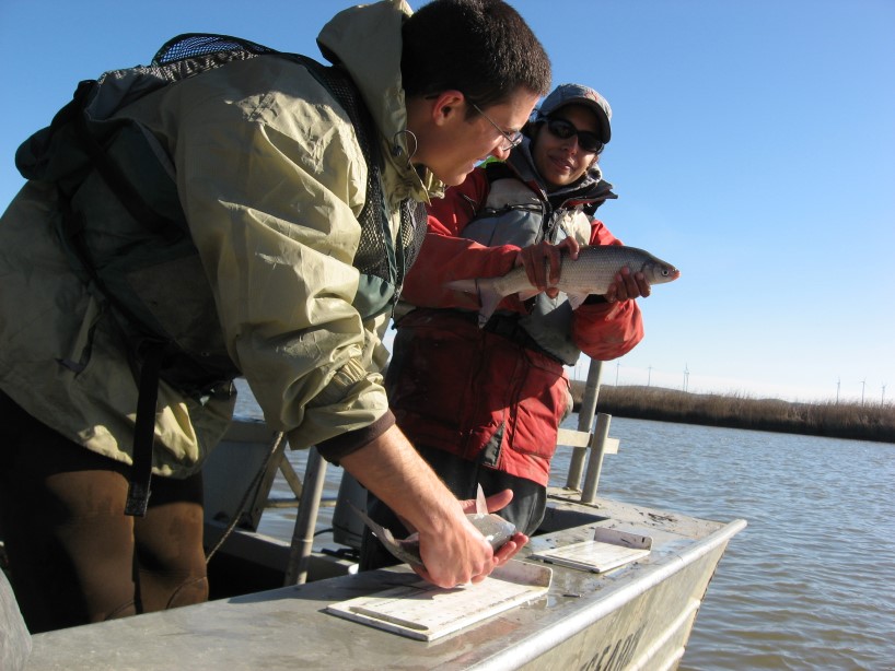 two people measuring fish on the side rail of a boat