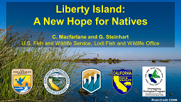 thumbnail of Liberty Island: A New Hope for Natives poster - click to enlarge in new window